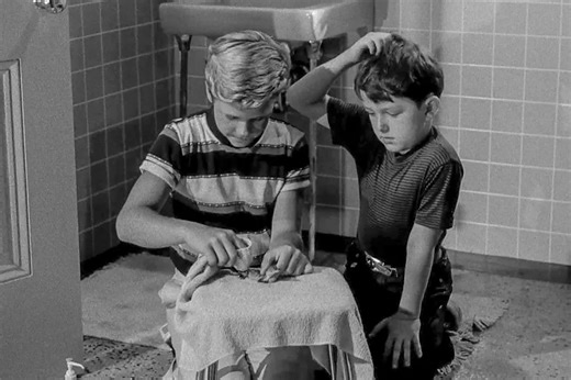 “Leave It to Beaver” Broke a Major Television Rule by Showing This Household Item for the First Time, 68 Years Ago