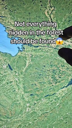 #googleearth Not everything hidden in the forest should be found. What is hidden in the American forests. | Google Map Fun