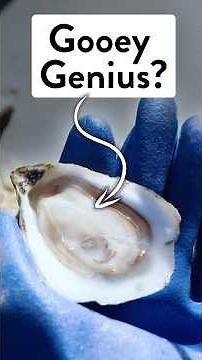 The Ocean’s Most Underrated Creature?