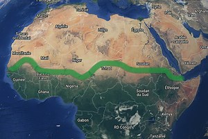 Afrique : le mur d'arbres de 8 000 km pour enrayer l’avancée du désert progresse difficilement