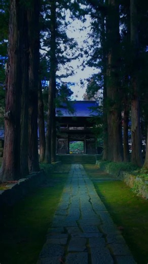 寺社仏閣 絶景 ｜Masa on Instagram: "📍慈雲寺-長野 ⁡ 深い山あいにひっそりと佇む、静寂の古刹。 観光地化されていないこの寺は、地元の人ですら存在を知らないほど。 室町時代に開かれたと伝わり、長い年月を経てもなお、 当時の空気をそのまま残したような落ち着きが…✨️ 「何もない」からこそ、深く癒される場所。 喧騒から離れたい人にこそ訪れてほしい寺です。 ⁡ 🎞 ▶▷▶ @msfmi._travel ⁡ #長野 #beautifuljapan #慈雲寺 #日本の風景 #nagano"