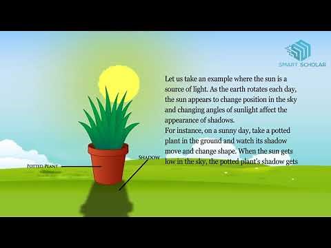 What is Shadow- Every Day Science