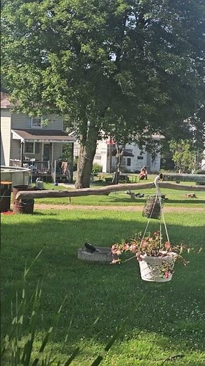 Motorcycle Cuts Through Yard During Police Chase, Crashes