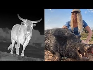 Girl Takes Down Massive 439 lb Feral Hog in Bucking Bull Pasture