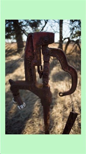 Wide Angle Photos with the Vivitar 20mm f/3.8 #photography