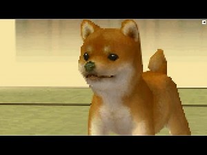 【実況】ペット、飼い始めました その1 【Nintendogs】