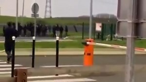 Brigade Loire Nantes vs Ultramarines Bordeaux 08/02/2020🇫🇷 | Portale Ultras