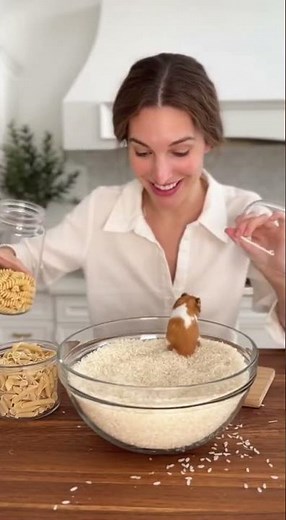 Der Hamster im Reisbällebad!