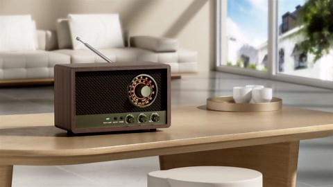 LEOTEC AM FM Radio,Retro Wood Table Radio,Portable Bluetooth Speaker Plug in Wall,Best Reception with AUX,Headphone Jack,Bass Control,Great for Home,Outdoor,Brown