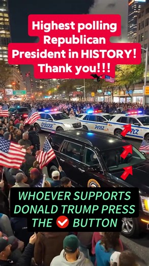 Exploring Support for Donald Trump in the USA