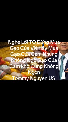 Tommy Nguyen US (@tommynguyen881)’s videos with original sound - Tommy Nguyen US
