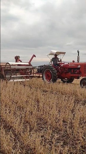 Farmall Super M-TA combining beans with a McCormick 76 pull type combine