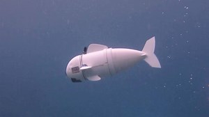17K views · 100 reactions | SoFi is an underwater robot that swims in a manner that mimics real fish. Researchers hope its natural swimming style and small size will enable close-up study of marine life. | The Globe and Mail | Facebook