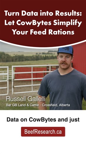 1.8K views | Turn your feed testing data into results with CowBytes ration-balancing software. Now available at CowBytes.ca. | Beef Cattle Research Council | Facebook