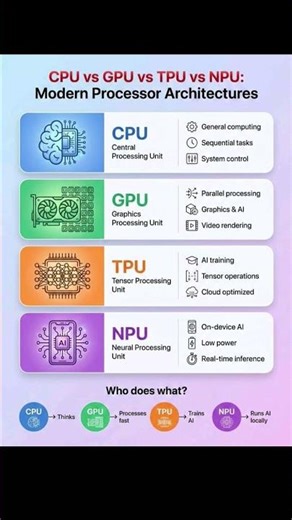 CPU vs GPU vs TPU vs NPU #cpu #gpu #tpu #npu