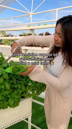 Start Your Own Mini Farm for a Sustainable Lifestyle