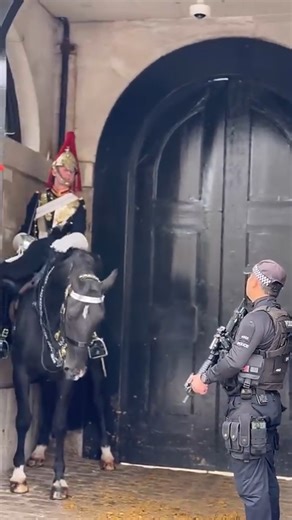 MoD Officer Incredible Display of Courage👏 #queensguard #kingsguard #london #travel | Guards Nation