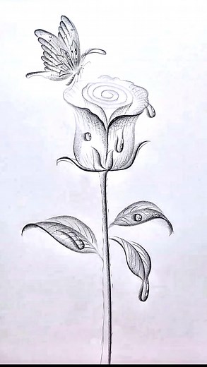 507K views · 6.2K reactions | How to draw a beautiful rose with a pencil #drawing #fblifestyle #art #drawingtutorial #draw | SSR Art's | Facebook