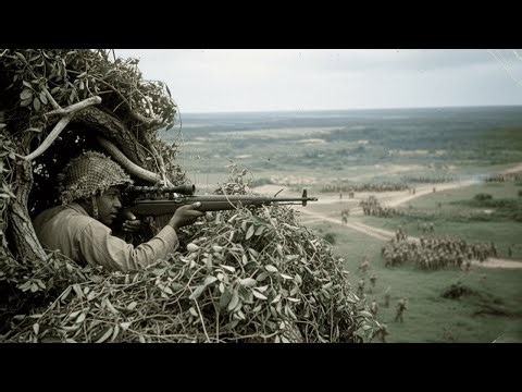 How a Black US Marine Sniper’s “Treetop Perch” Firing Made 27 Enemy Marksmen Vanish in New Guinea