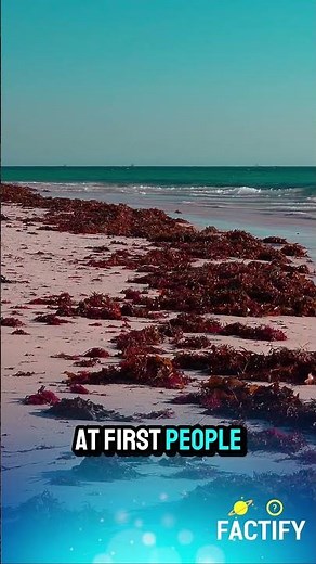 ❄️ Antarctica’s Blood Falls 🌊 The Creepiest Waterfall on Earth