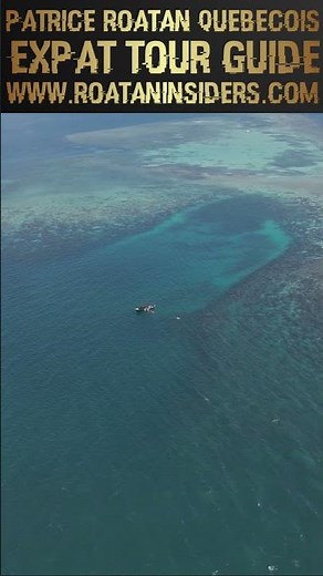 Horseshoe Reef Roatan Snorkeling Drone Map