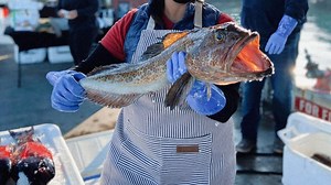 Everything you need to better understand the basics of sustainable seafood