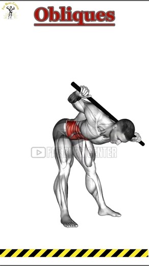 6 oblique exercises no equipment needed #abs #workout #core