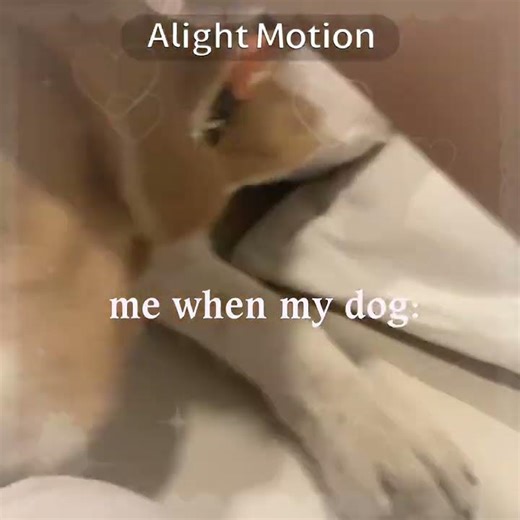 [#MYDOG]:: I want to eat him so bad ajdjajkakdj (he farted on me afterwards) #shorts