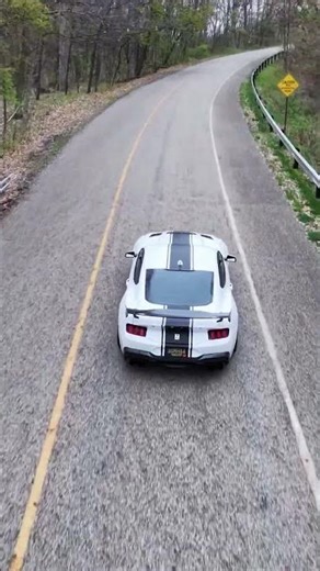 Supercharged and absolutely unforgiving #shelby #mustang #power