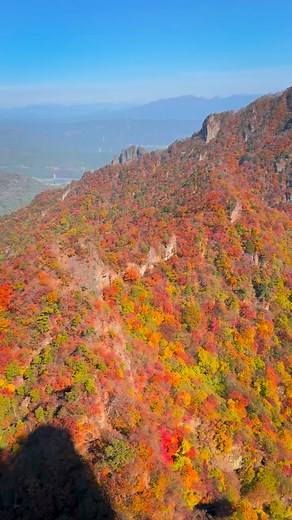 . 表妙義縦走 . 紅葉時期の妙義が最高すぎる . 今年は落葉も少なく、 もみじとカエデで紅が綺麗すぎた🍁 . #妙義 #妙義山 #表妙義 #表妙義縦走 #登山 #登山好きと繋がりたい #紅葉 #紅葉スポット | Satoshi Hasegawa