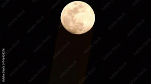 Moon Timelapse, Stock time lapse : Full moon rise in dark nature sky, night time. Full moon disk time lapse with moon light up in night dark black sky. High-quality free video footage or timelapse