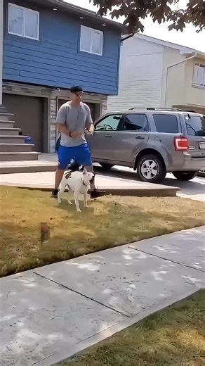 Pulling isn’t a leash problem — it’s a focus problem. Meet Brock, a 6-month-old Australian Shepherd mix, learning how to walk calmly without prong collars or treats. 🐕✨ From puppyhood to real-world walks, the goal isn’t to overpower the dog — it’s to teach him where to put his attention. Here’s what makes the difference: Dogs pull when they’re focused on the environment, not the handler Tools don’t create understanding — training does Calm leadership turns chaos into cooperation When your dog l