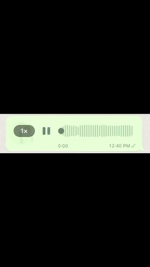 Funny Voice Notes Compilation