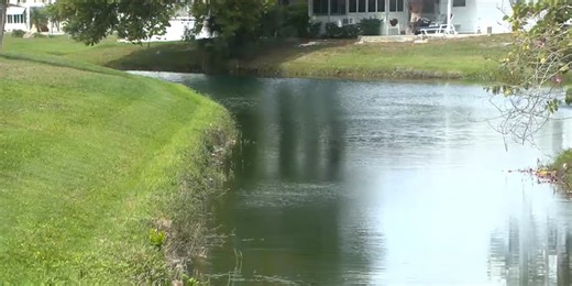 Judge grants summary judgment in Englewood alligator attack wrongful death case