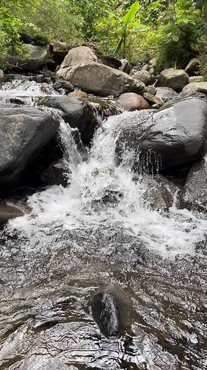 8.8K views · 1.8K reactions | Enjoying the crystal-clear waters of Mount Prau in Central Java #Kendal #CentralJava #MountPrau | Syarif Nova | Facebook