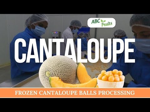 Refreshing Summer Treat: How to Make Frozen Cantaloupe Balls | Trending Recipe Tutorial | ABC Fruits
