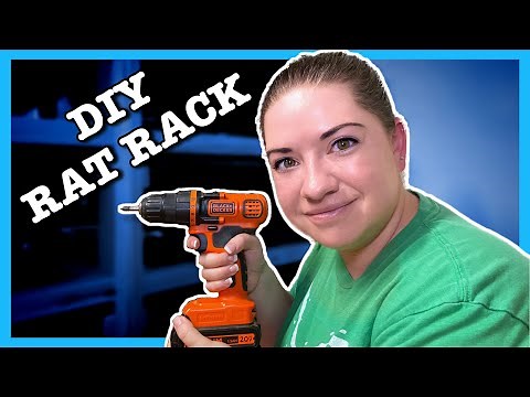 HOW TO BUILD YOUR OWN RAT RACK! | DIY Rat Rack | Rodent Breeding