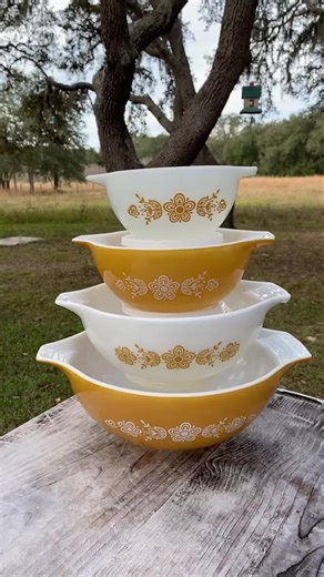 #pyrex #vintagepyrex #pyrextiktok #pyrexcollector #collectorcheck