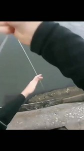 World record bowfishing shot! 🏹🐟 #bowfishing #fishing #thefearbowfishing #outdoors #archery #reels #trickshot | Stephen "The Fear" Banaszak