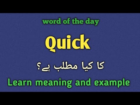 Quick meaning in urdu |english |Quick k kua matlab hai 