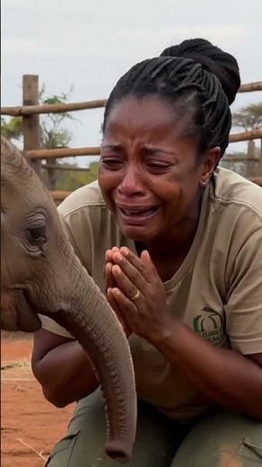 Orphaned Baby Elephant Takes Her First Solo Steps — And Her Rescuer Can't Stop Crying