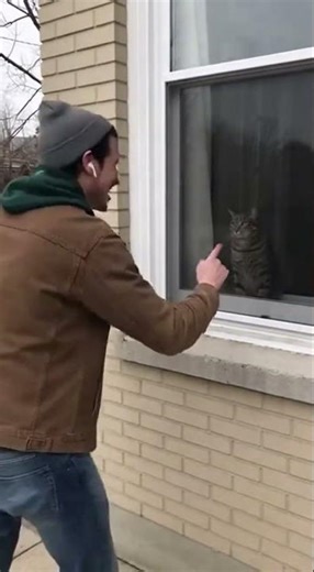 When You Flip Off a Cat… And It Strikes Back!