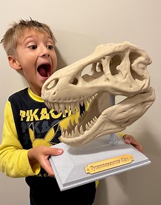 Large 3D Printed T-rex Skull - Multicolor - Large Dinosaur Fossil Replica - Tyrannosaurus Rex Model - Etsy