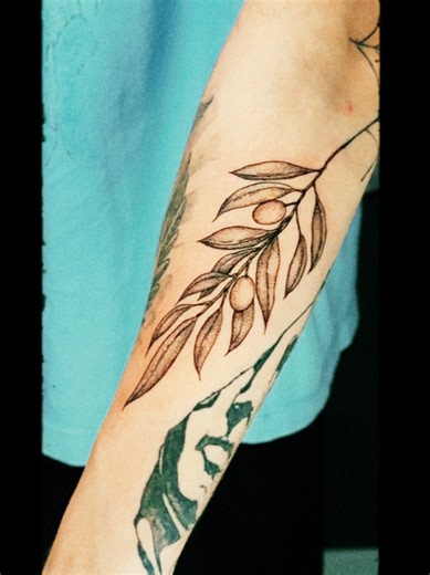 🫒 Moody Olive Branch | Fine Line Forearm Tattoo Atmospheric vibes for this fine-line olive branch. Forever peace in black, grey, and pepper shading. 📍 @Marques du Temps Tattoo MTL 🎨 DM @alien_toastada_tattoo to book. #OliveBranchTattoo #MoodyTattoo #FineLineTattoo #BlackAndGrey #ForearmTattoo