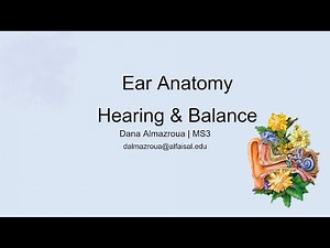 Ear + Hearing & Balance | Dana Almazroua | HNS 242 PAL review session