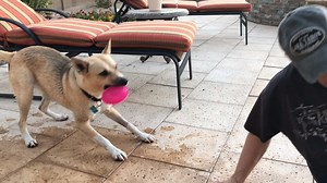 3.1K views · 76 reactions | "Fall in love with Sarah - she is truly...