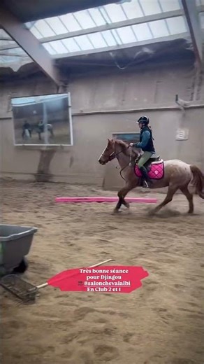 Show jumping at the horse show #showjumping #horse #pony #horse