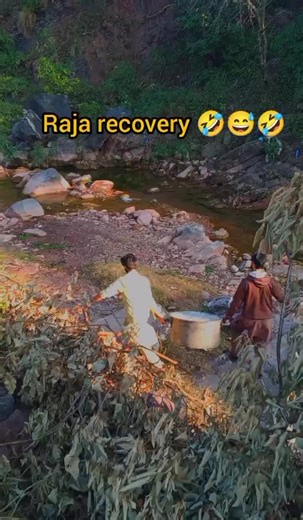 Understanding Account Recovery Trends on TikTok