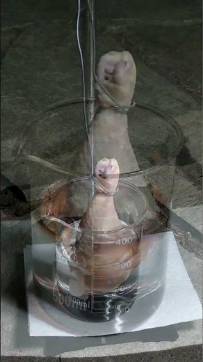 Preparation of piranha solution.☠☠