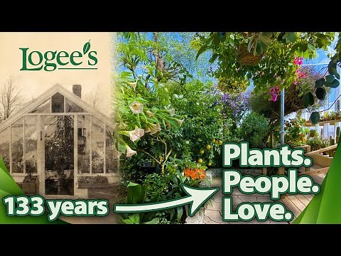133 YEARS OF PLANTS - LOGEE'S GREENHOUSE HISTORY TOUR